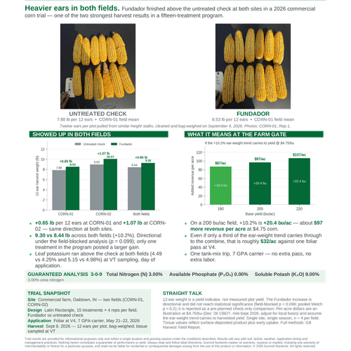 Fundador on Field Corn