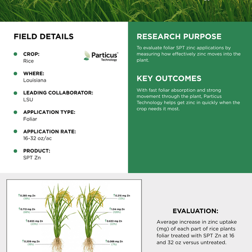 LSU Foliar Zinc Uptake Trial on Rice - Particus SPT Zn