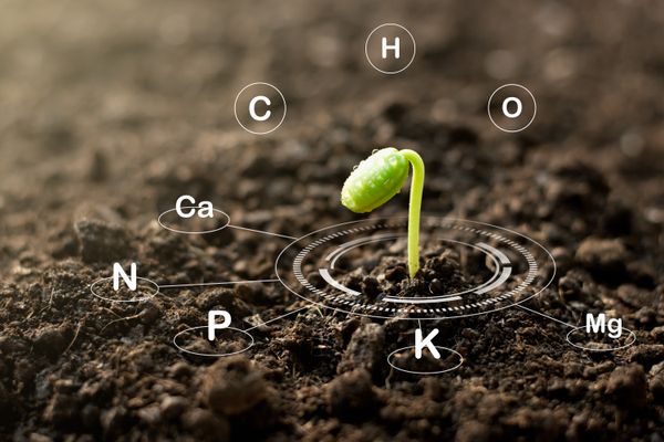 Why Chelation Matters: The Summit Nutrients Advantage