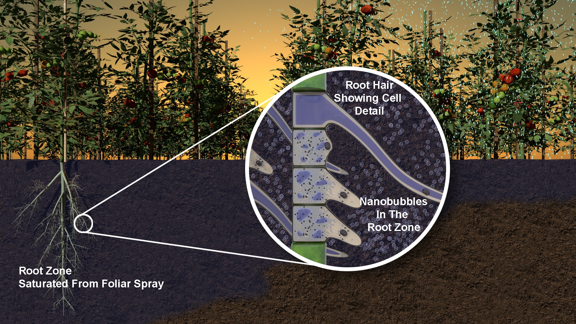 The Role Of Nanobubbles In Fertilizer Technology